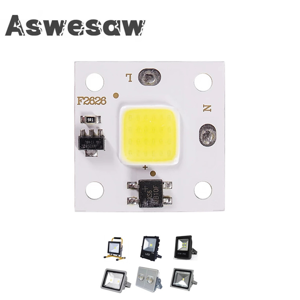 Outdoor Spotlight - 10W modulo COB 220V LED Chip