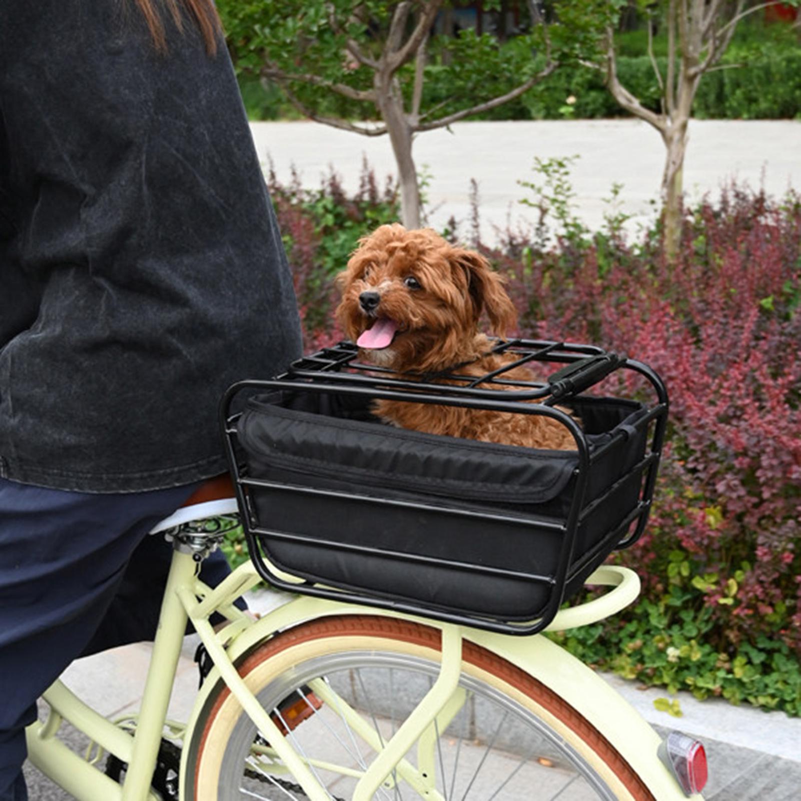 Cestino posteriore per bici, r - Outdoor Sport Gear recensione e prezzo